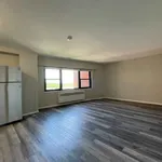 Rent 1 bedroom apartment in Chicago