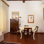 Rent 1 bedroom apartment of 50 m² in florence