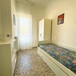 Rent 3 bedroom apartment of 60 m² in Pisa