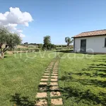 Rent 3 bedroom house of 55 m² in Montalto di Castro