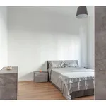 Rent 2 bedroom apartment of 55 m² in Milano