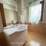 Rent 4 bedroom house of 90 m² in Campofelice di Roccella