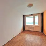 Rent 2 bedroom apartment of 46 m² in Praha