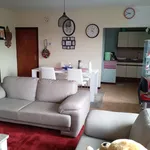 Rent 1 bedroom apartment in Vlekkem