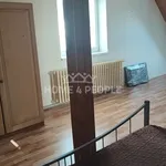 Rent 1 bedroom apartment of 50 m² in Plzeň