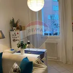 Rent 3 bedroom apartment of 85 m² in Bologna