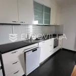 Rent 3 bedroom apartment of 200 m² in Zagreb