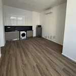 Pronajměte si 2 ložnic/e byt o rozloze 39 m² v České Budějovice