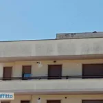 Rent 3 bedroom apartment of 85 m² in Campobasso