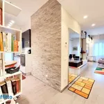 Rent 3 bedroom apartment of 95 m² in Milan