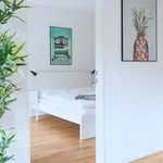 Rent 1 bedroom apartment of 495 m² in Basel