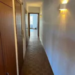 Rent 1 bedroom apartment in Mechelen