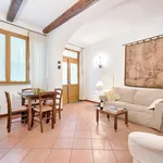 Rent 1 bedroom apartment in Florence