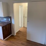 Rent 3 bedroom apartment of 65 m² in München