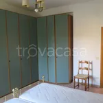 Rent 4 bedroom apartment of 90 m² in Bologna