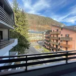 1-bedroom flat via Baradello 11, San Pietro, Corteno Golgi