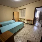 Rent 5 bedroom apartment of 3 m² in Turin