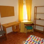 Rent a room in cordoba