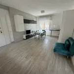 Rent 2 bedroom apartment of 50 m² in Nettuno