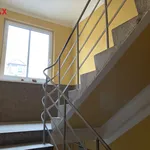 Rent 1 bedroom apartment of 33 m² in chomutov