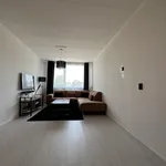 Rent 3 bedroom apartment of 73 m² in Vondelwijk