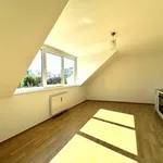 Rent 2 bedroom apartment of 54 m² in Graz