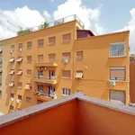 Rent 4 bedroom apartment in Rome