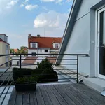 Rent a room of 270 m² in Prague