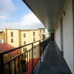 Rent 1 bedroom apartment in Prague