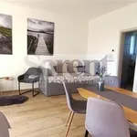 Rent 1 bedroom apartment of 39 m² in Frymburk