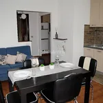 Rent 2 bedroom apartment of 59 m² in Torino