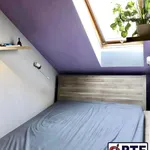 Rent 2 bedroom apartment of 40 m² in Pilsen