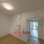 Rent 3 bedroom apartment of 7741 m² in Brno