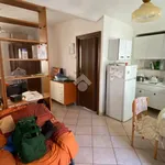 Rent 1 bedroom apartment of 25 m² in San Maurizio Canavese