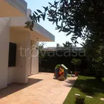 Rent 3 bedroom house of 110 m² in Carovigno