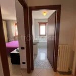 Rent 2 bedroom apartment of 75 m² in Torino