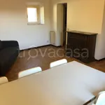 Rent 3 bedroom apartment of 64 m² in Siena