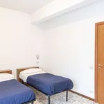 Rent 1 bedroom apartment in rome