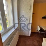 Rent 3 bedroom apartment in Modřice