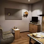 Rent 1 bedroom apartment in Madrid