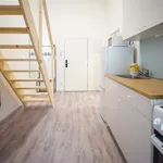 Rent 1 bedroom apartment in Brno