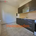 Rent 4 bedroom apartment of 70 m² in Havířov