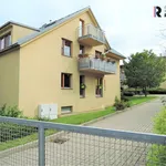 Rent 4 bedroom apartment of 154 m² in Capital City of Prague