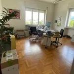 Rent 8 bedroom apartment of 220 m² in Brescia