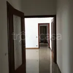 Rent 3 bedroom apartment of 110 m² in Milano