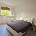 Rent 3 bedroom apartment of 100 m² in Verona