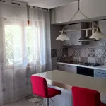 Affitto 1 camera appartamento di 55 m² in Anzio