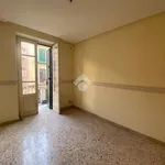 Rent 3 bedroom apartment of 86 m² in Palermo