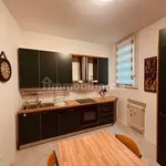 Rent 3 bedroom apartment of 111 m² in Parma