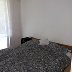 Rent 3 bedroom apartment in Ostrava